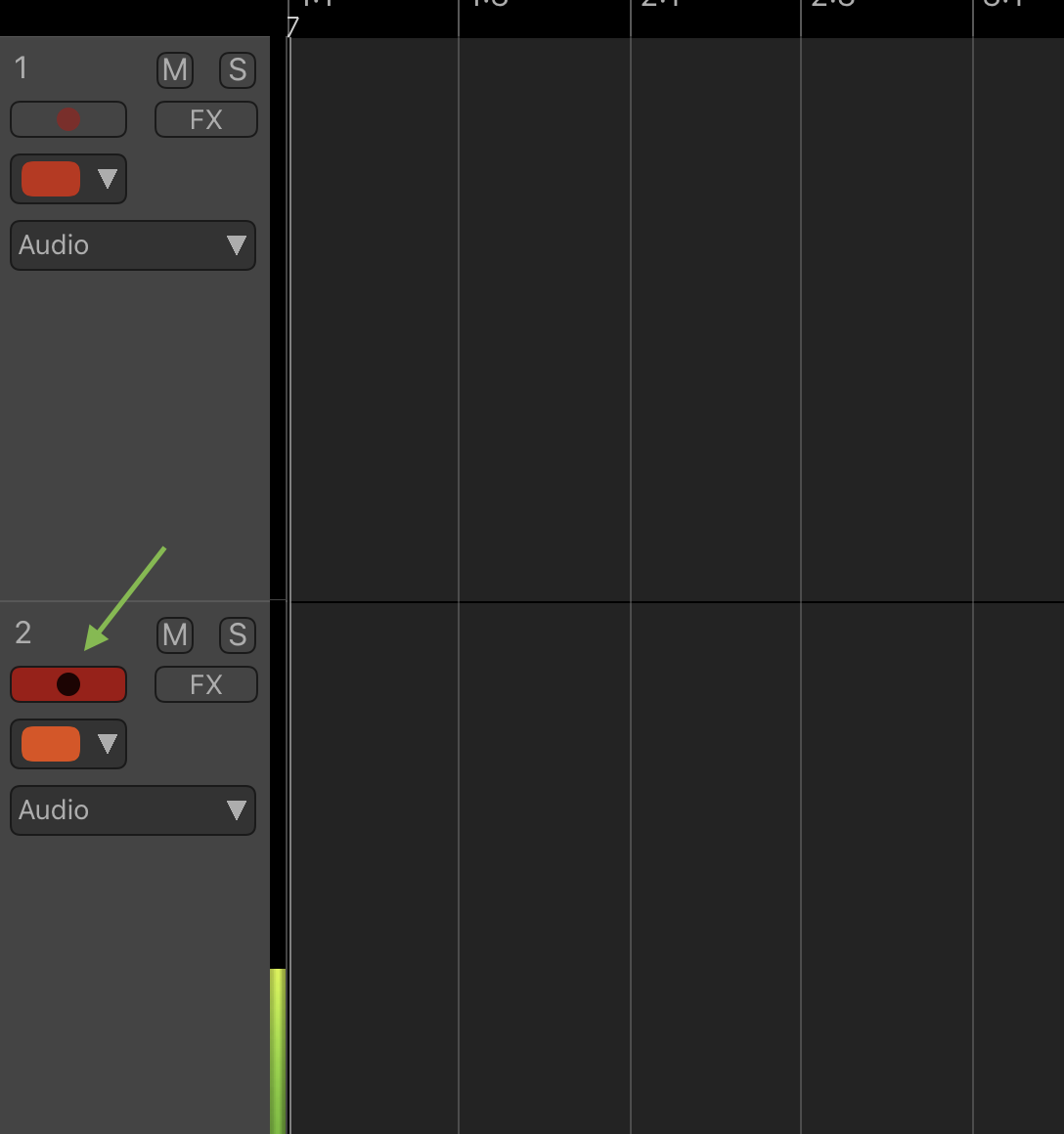 Auria_Record_Arm.PNG
